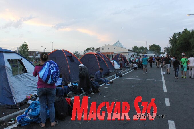 Migránsok (Diósi Árpád felvétele) Migránsok (Diósi Árpád felvétele)