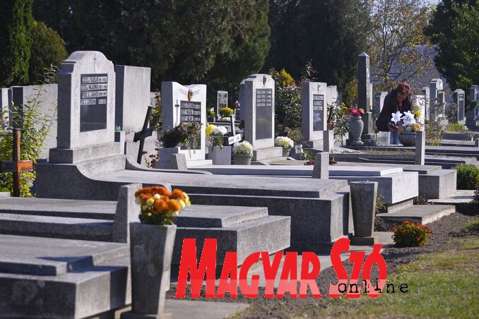 Fotó: Molnár Edvárd Fotó: Molnár Edvárd