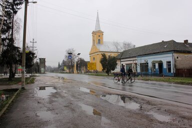 Gombos (Fotó: Diósi Árpád)