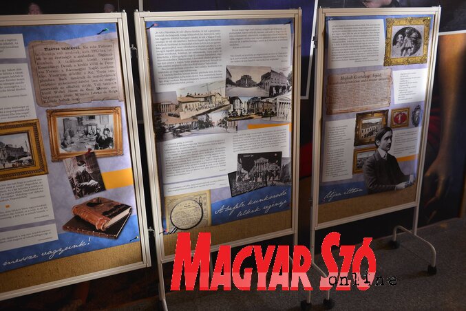 Részlet a kiállítás anyagából
