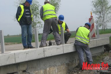 Hét kishidat hoznak rendbe (Fehér Rózsa felvétele)
