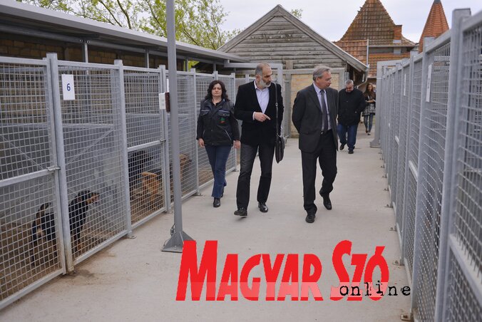 Fotó: Molnár Edvárd Fotó: Molnár Edvárd
