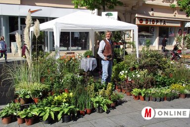 Az árusok már kora reggel kipakoltak (Fotó: Fekete J. József)