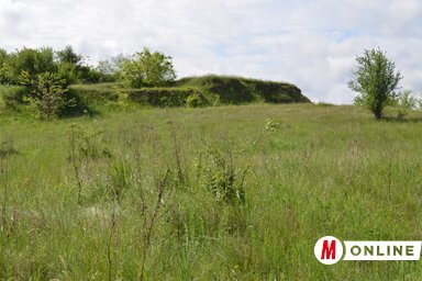Ősgyepmaradvány az egykori szőlősök helyén (Lakatos János felvétele)
