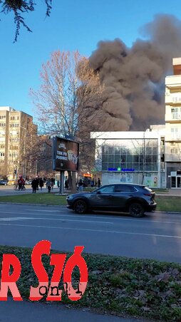 Horváth Zsuzsanna felvétele Horváth Zsuzsanna felvétele