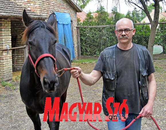 Illés Ferenc a 14 éves Vihar nevű kancájával, amely már szerbiai maratont is nyert (Gergely Árpád felvétele) Illés Ferenc a 14 éves Vihar nevű kancájával, amely már szerbiai maratont is nyert (Gergely Árpád felvétele)