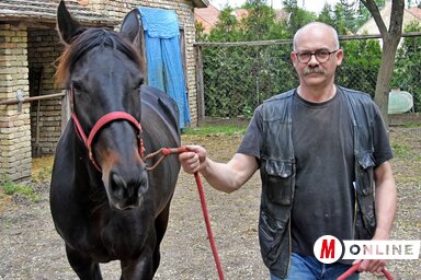 Illés Ferenc a 14 éves Vihar nevű kancájával, amely már szerbiai maratont is nyert (Gergely Árpád felvétele)