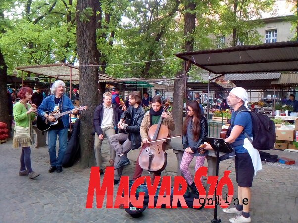 Örömzenélés a zentai piacon (Horváth Zsolt felvétele)