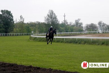 Davidović Dejan edzés közben a zobnaticai pályán (Benedek Miklós felvétele)