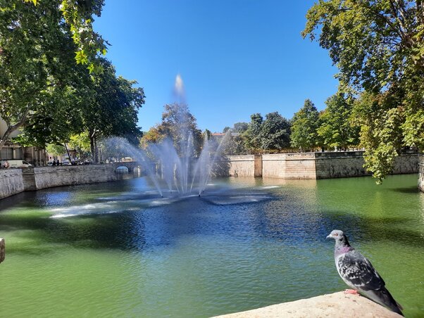 A Jardins de la Fontaine A Jardins de la Fontaine