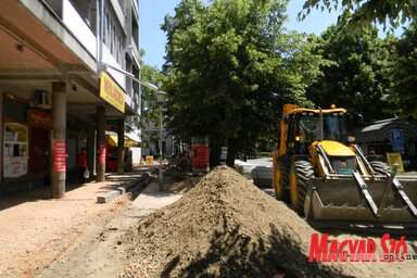 (Fehér Rózsa)