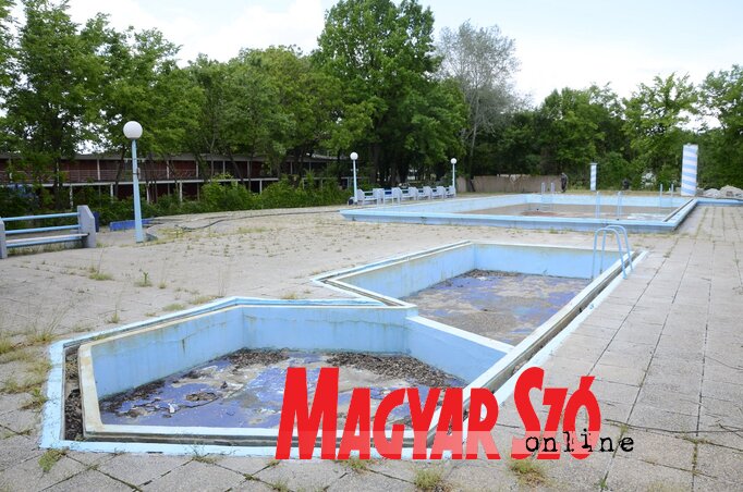 Fotó: Molnár Edvárd Fotó: Molnár Edvárd