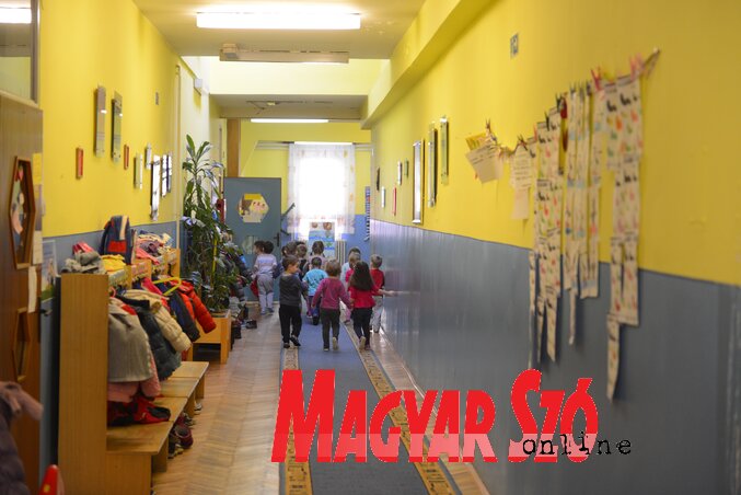 A kicsik ellátását meg kell oldani (Molnár Edvárd felvétele) A kicsik ellátását meg kell oldani (Molnár Edvárd felvétele)