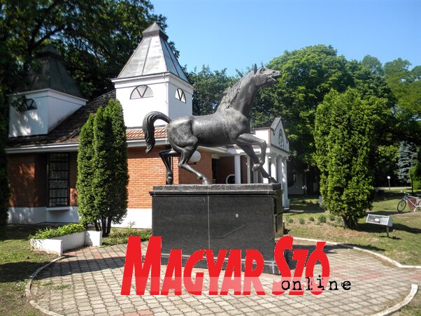 Lovasszobor a galéria mellett (Benedek Miklós felvétele) Lovasszobor a galéria mellett (Benedek Miklós felvétele)