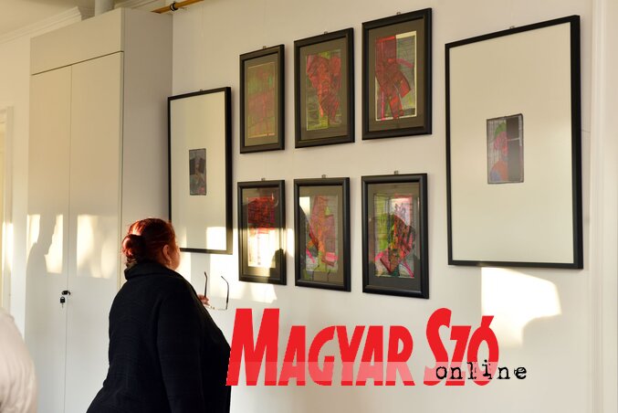 Fotó: Molnár Edvárd Fotó: Molnár Edvárd