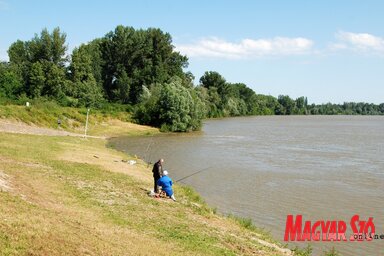 A kaszálás megvolt, de ki fogja felszántatni? (Homolya Horváth Ágnes felvétele)