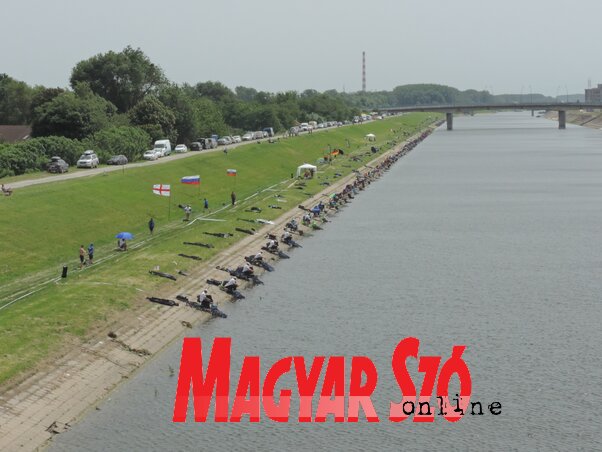 A hétvégén tartják Újvidéken a DTD-csatornán a VI. Feeder Világbajnokságot, összesen 168 versenyző érkezett 28 országból (Buzás Mihály felvétele)