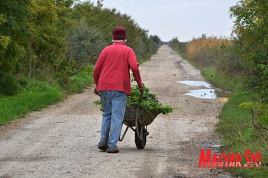 Sokan nem is tudják, hogy nem állampolgárok, miközben szavaznak, adót fizetnek... (Ótos András felvétele)