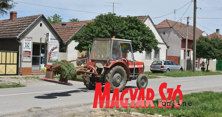 A maradékiak közül sokan mezőgazdaságra alapozzák megélhetésüket (Ótos András felvétele)