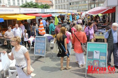 Hogyan lehet választani a bőség zavarában?