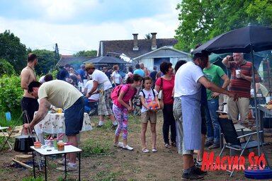 A Vajdasági Piknik