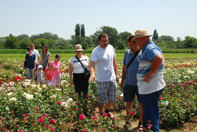 Vasas Balázs (fehérben) a kertészetek tulajdonosaival