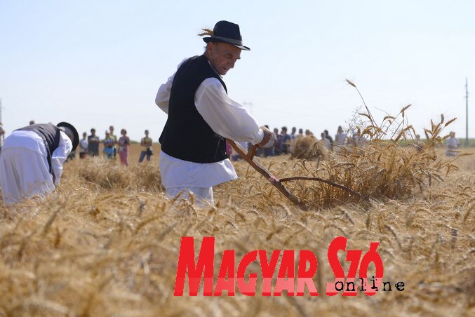 (Fotó: Molnár Edvárd) (Fotó: Molnár Edvárd)