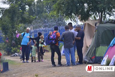 (Fotó: Molnár Edvárd)