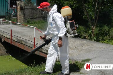 Fotó: Fehér Rózsa