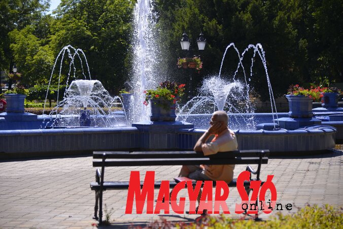 (Fotó: Molnár Edvárd) (Fotó: Molnár Edvárd)