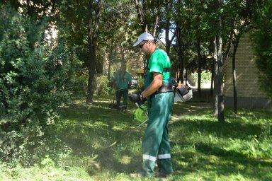 A Komunalac munkásai tegnap a Kisrétben nyírták a füvet (Fotó: Fehér Rózsa)
