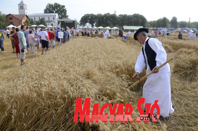 Molnár Edvárd felvétele Molnár Edvárd felvétele