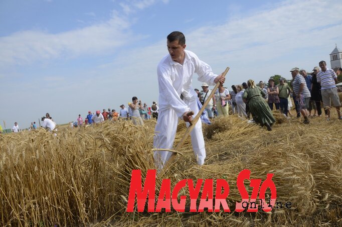 (Fotó: Molnár Edvárd) (Fotó: Molnár Edvárd)
