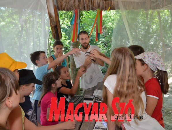 Madársimogatás Sihelnik Józseffel, az Arcus madárszakértőjével (Lakatos János felvétele) Madársimogatás Sihelnik Józseffel, az Arcus madárszakértőjével (Lakatos János felvétele)