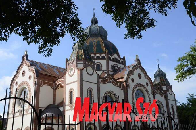(Fotó: Molnár Edvárd) (Fotó: Molnár Edvárd)