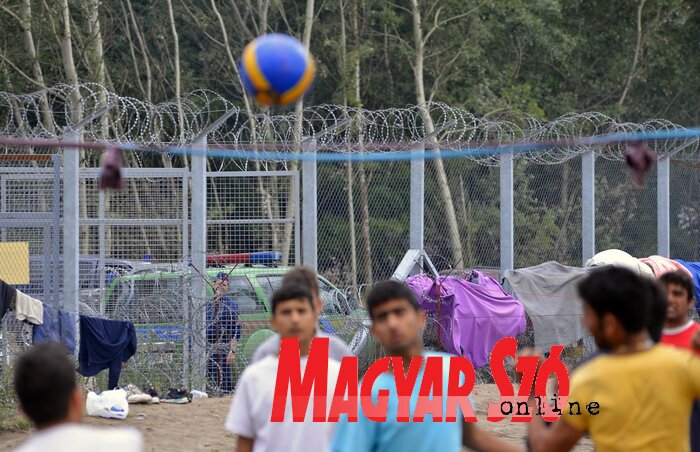 Magyarországnak sikerül kézben tartania a migránsáradatot (Molnár Edvárd illusztrációja)