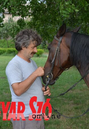 Őszinte szeretet ember és ló között