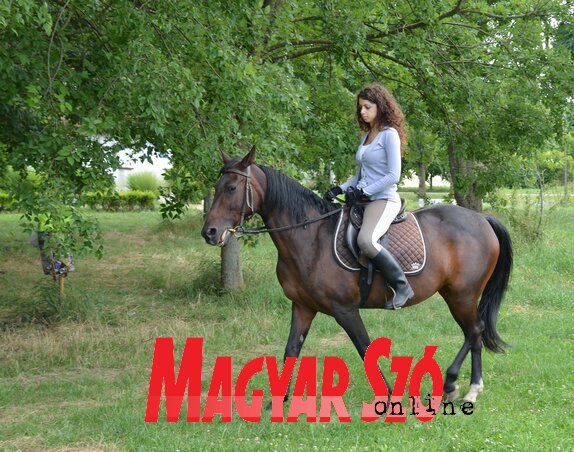 Maja számára a lovaglás mindig is egy nagyon szép hobbi volt