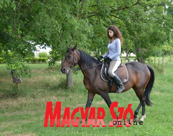 Maja számára a lovaglás mindig is egy nagyon szép hobbi volt Maja számára a lovaglás mindig is egy nagyon szép hobbi volt