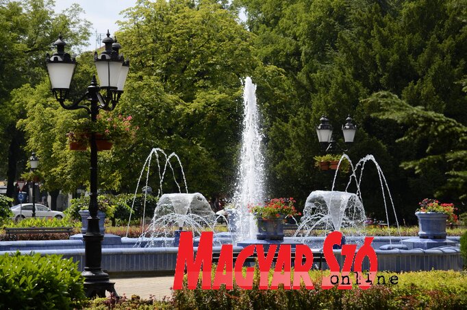 (Fotó: Molnár Edvárd) (Fotó: Molnár Edvárd)