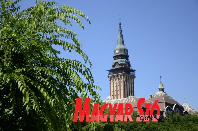 (Fotó: Molnár Edvárd) (Fotó: Molnár Edvárd)