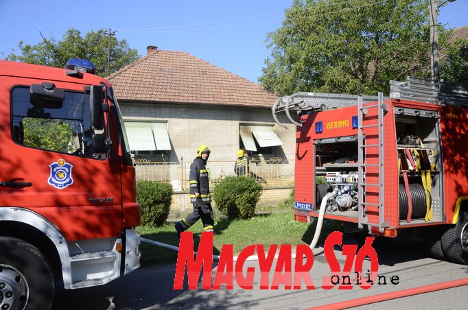 Fotó: Molnár Edvárd Fotó: Molnár Edvárd