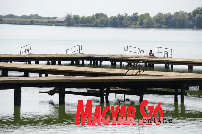 A Palicsi-tóban nem javallott a fürdés (Fotó: Molnár Edvárd) A Palicsi-tóban nem javallott a fürdés (Fotó: Molnár Edvárd)
