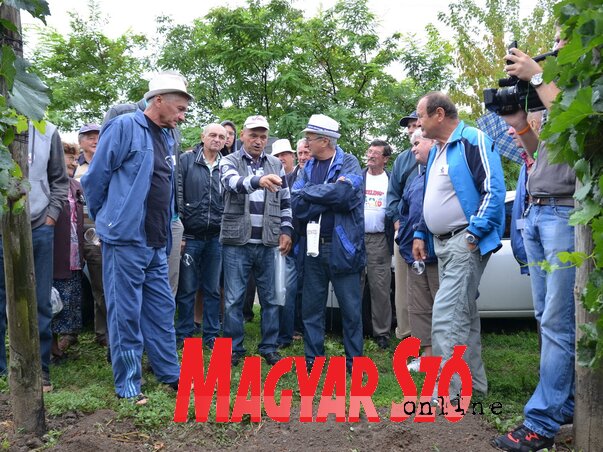 Milisav Viljanac beszél a szőlejéről (Lakatos János felvétele) Milisav Viljanac beszél a szőlejéről (Lakatos János felvétele)