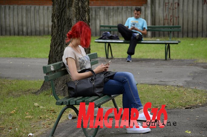 (Molnár Edvárd illusztrációja) (Molnár Edvárd illusztrációja)