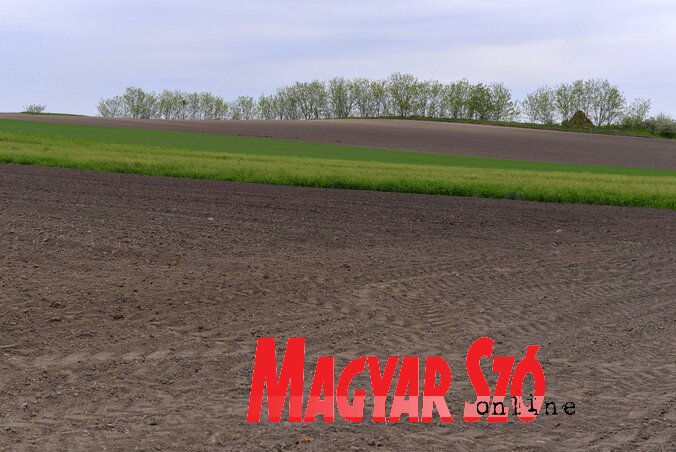 (Fotó: Molnár Edvárd) (Fotó: Molnár Edvárd)