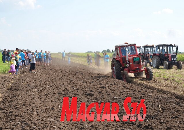 A legkíváncsibbak egészen közelről figyelték a szántómestereket munka közben (Lakatos János) A legkíváncsibbak egészen közelről figyelték a szántómestereket munka közben (Lakatos János)