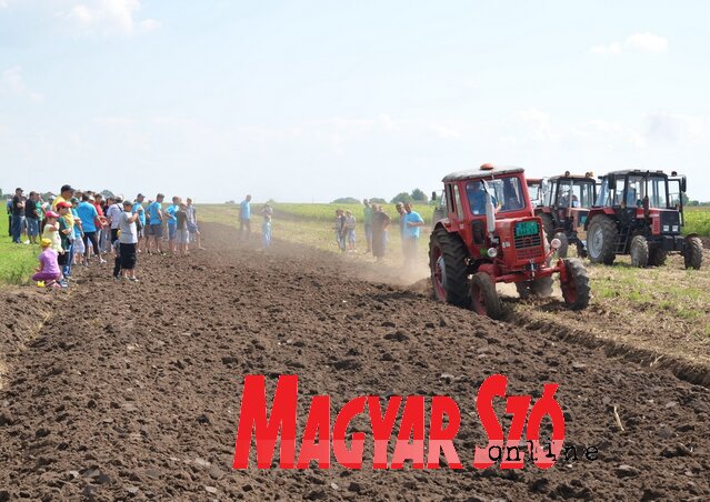 A legkíváncsibbak egészen közelről figyelték a szántómestereket munka közben (Lakatos János)