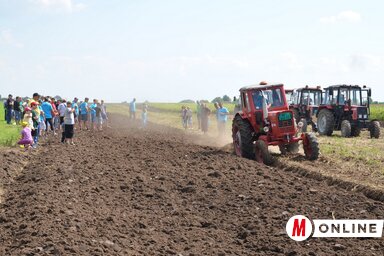 A legkíváncsibbak egészen közelről figyelték a szántómestereket munka közben (Lakatos János)