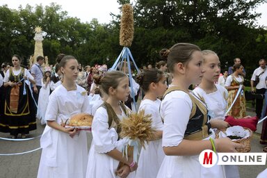 Az aratás ünnepét 2006 óta a Bunyevác Nemzeti Tanács is megszervezi (Fotó: Molnár Edvárd)